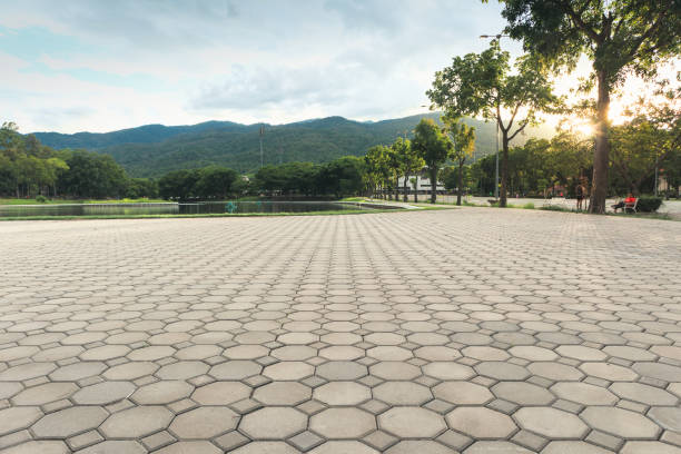 Best Local Driveway Pavers  in Lake Marcel Stillter, WA